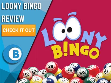 loony bingo review
